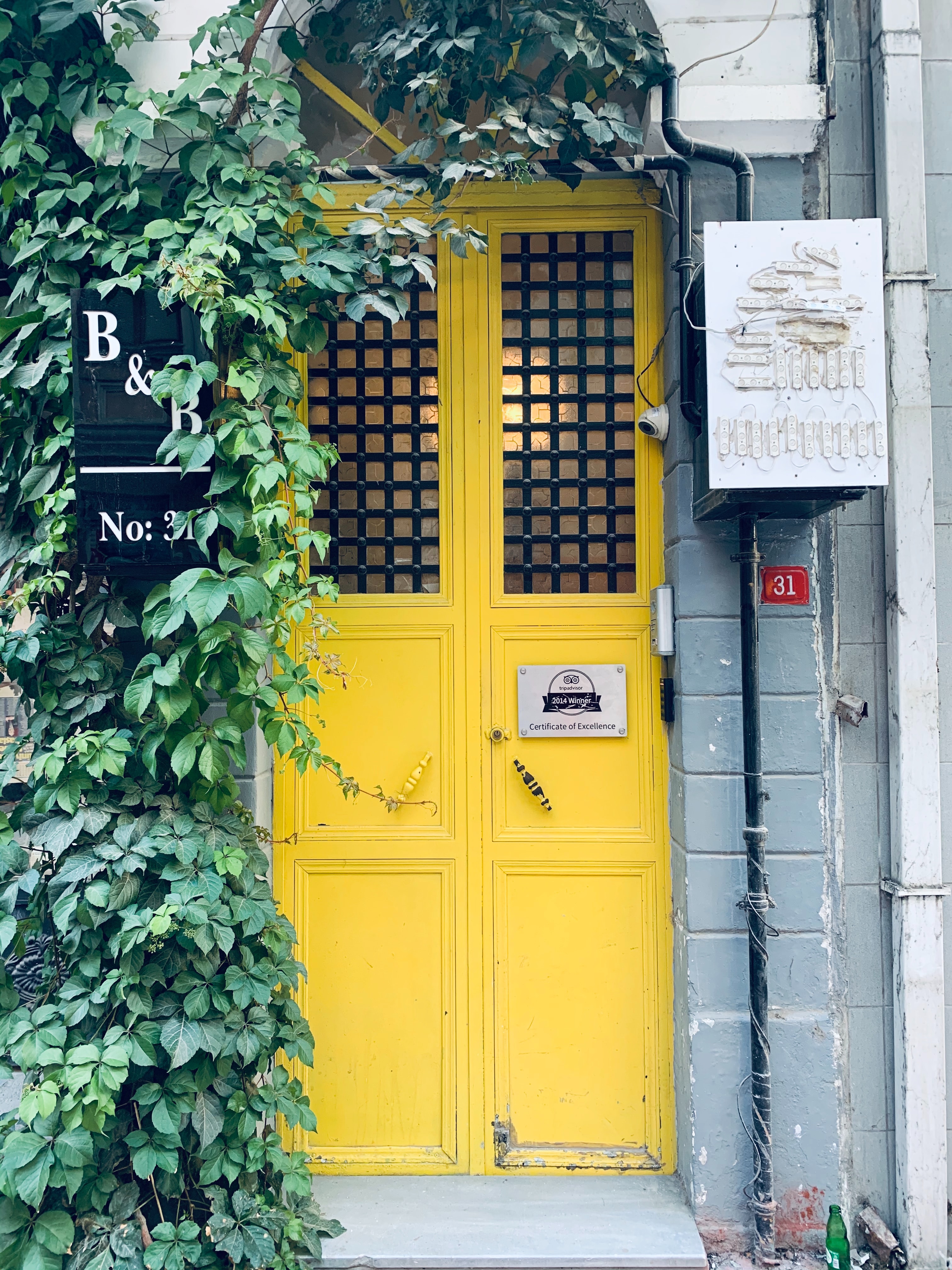 Hello sunny day- discover why you chose to step through the yellow door